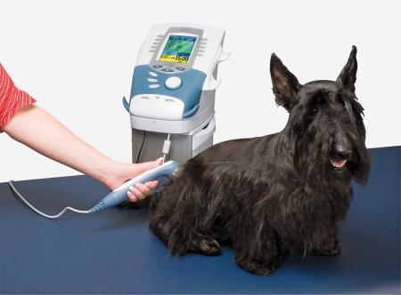 Chattanooga Intelect Vet Therapy Device - Electrotherapy / Ultrasound / Combo / Laser